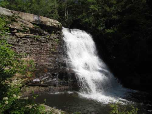 A serene waterfall cascading over rocky cliffs into a calm pool, surrounded by lush green foliage.