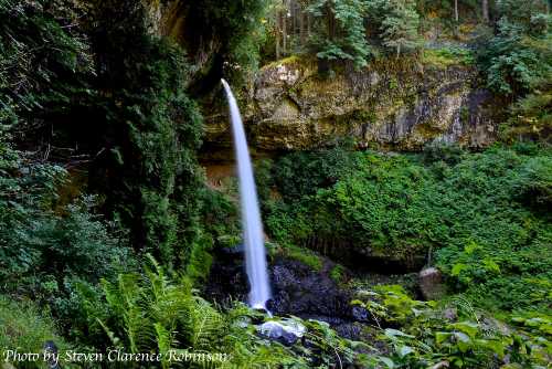 A serene waterfall cascades down rocky cliffs, surrounded by lush greenery and ferns in a tranquil forest setting.