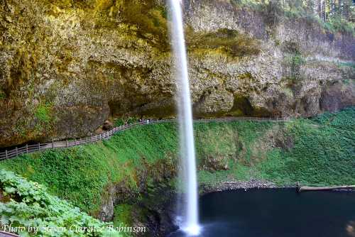 A tall waterfall cascades over a rocky cliff into a serene pool, surrounded by lush greenery and a wooden path.