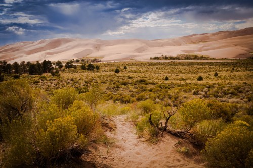 A scenic view of rolling sand dunes under a cloudy sky, surrounded by green shrubs and sparse trees.