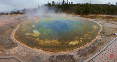 A vibrant hot spring with colorful mineral deposits, surrounded by trees and steam rising in a natural landscape.