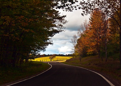 A winding road surrounded by trees, leading to an open field under a cloudy sky. Autumn colors are visible in the foliage.