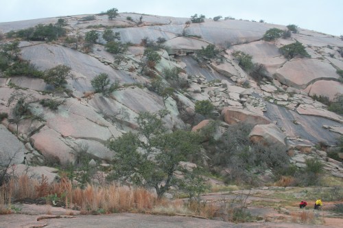 A rocky hillside with scattered trees and shrubs, featuring smooth, sloped surfaces and patches of dry grass.