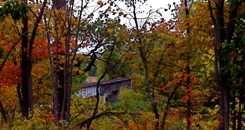 A rustic bridge peeks through vibrant autumn foliage in a serene forest setting.