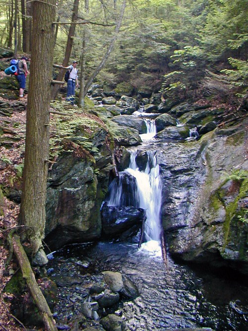 A serene forest scene featuring a small waterfall cascading over rocks, with hikers nearby among lush greenery.