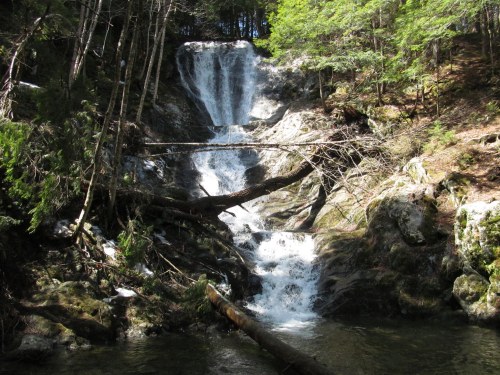 A serene waterfall cascades down rocky terrain, surrounded by lush green trees and a tranquil pool below.