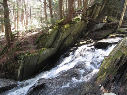 A serene forest scene featuring a flowing waterfall over moss-covered rocks, surrounded by tall trees.