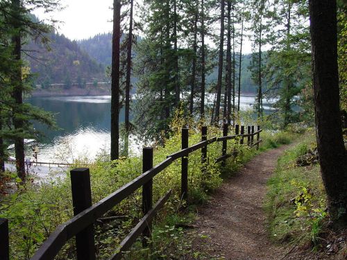 A serene lakeside path lined with wooden fencing, surrounded by tall trees and lush greenery.