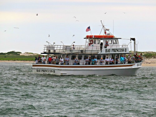 A tour boat named "Bay Princess II" with passengers on board, sailing on calm waters with seagulls flying nearby.