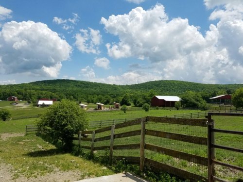A scenic view of a green landscape with rolling hills, barns, and a blue sky filled with fluffy clouds.