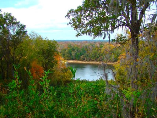 A scenic view of a river surrounded by lush greenery and autumn-colored trees under a cloudy sky.