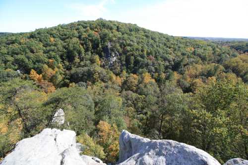 A scenic view from a rocky outcrop overlooking a lush, green forest with autumn colors in the trees.