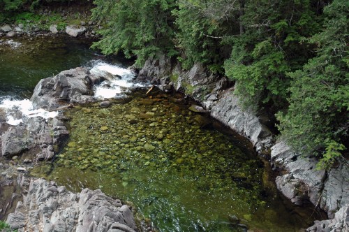 A serene river scene with clear water, smooth rocks, and lush green trees along the banks.