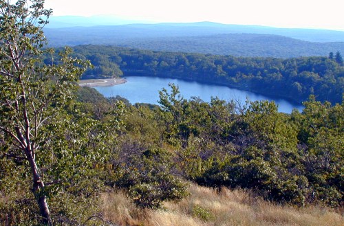 A serene view of a winding lake surrounded by lush greenery and distant mountains under a clear sky.