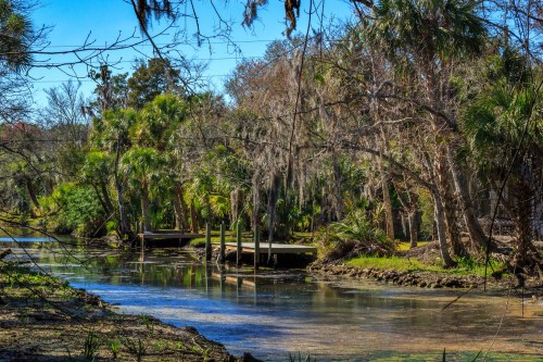 A serene waterway surrounded by lush greenery and trees, reflecting a clear blue sky.