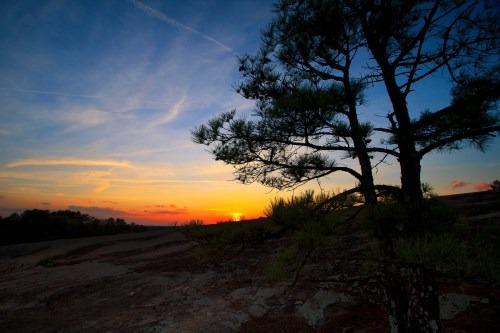 A serene sunset over a rocky landscape, with a silhouette of a pine tree in the foreground against a colorful sky.