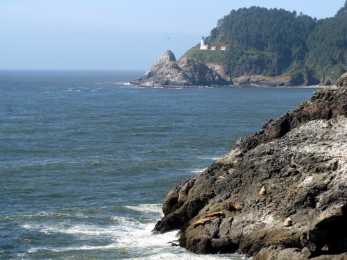 A rocky coastline with sea lions basking in the sun, a lighthouse on a distant hill, and calm blue ocean waters.