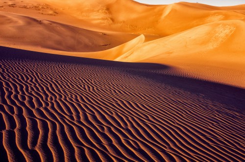 Waves of golden sand dunes under a warm sunset, creating intricate patterns and shadows across the landscape.