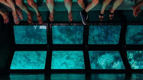 View from above of people sitting on a boat with glass windows showing underwater scenery and coral.