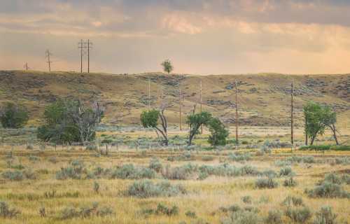 A serene landscape featuring rolling hills, sparse trees, and power lines under a cloudy sky.