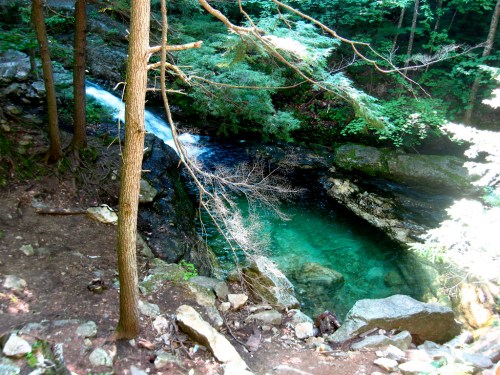 A serene forest scene featuring a clear blue pool and a small waterfall surrounded by lush greenery and rocks.
