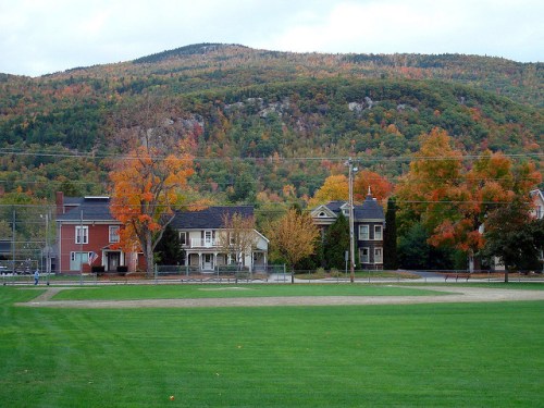 A scenic view of colorful autumn trees and houses with a mountain backdrop, set against a green field.
