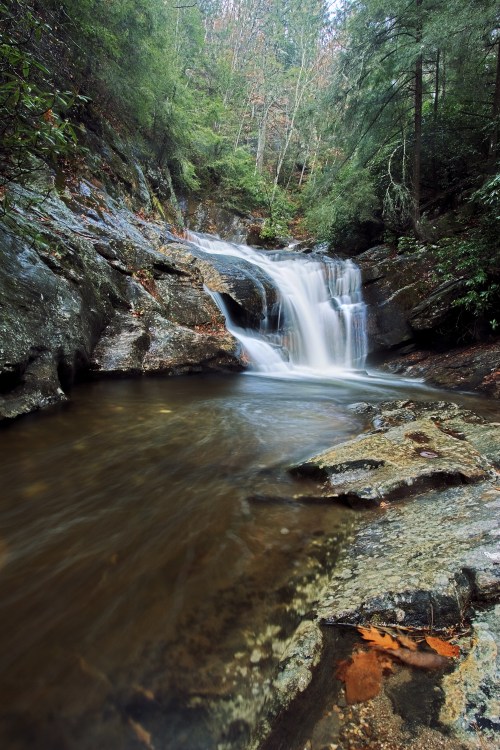 A serene waterfall cascades over rocks into a calm pool, surrounded by lush green trees and foliage.