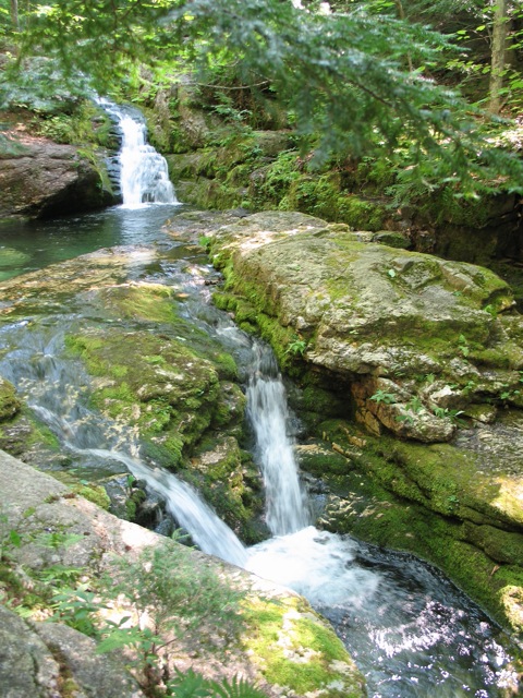 A serene forest scene featuring a cascading waterfall over moss-covered rocks, surrounded by lush greenery.