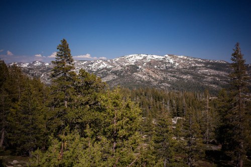 A scenic view of snow-capped mountains surrounded by lush green trees under a clear blue sky.