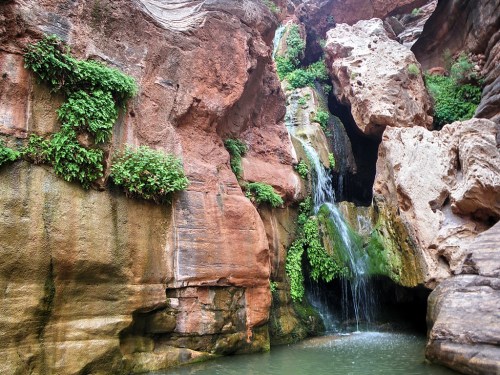 A serene waterfall cascades down rocky cliffs, surrounded by lush greenery and a tranquil pool below.