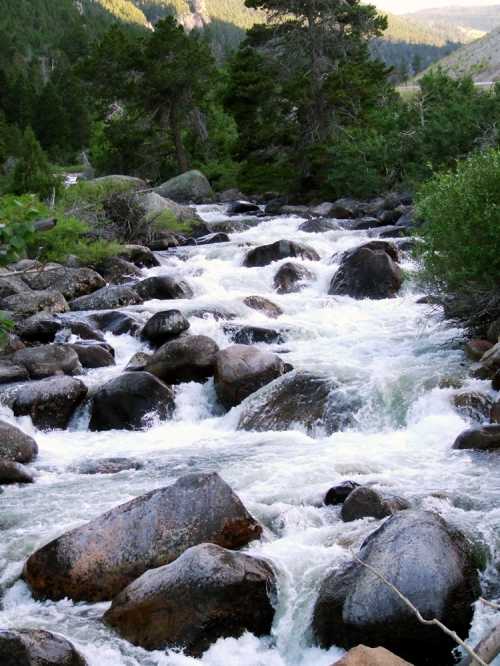 A flowing river with rocky banks, surrounded by lush greenery and distant mountains under a clear sky.