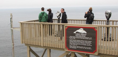 Four people stand on a viewing platform overlooking the ocean, with a sign about Gray Whale migration nearby.