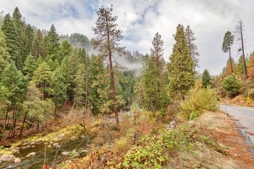 A serene river flows through a lush forest, surrounded by tall trees and misty mountains under a cloudy sky.