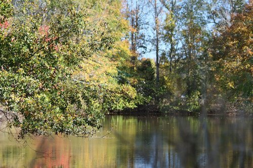 A serene pond surrounded by trees with autumn foliage reflecting in the water under a clear blue sky.