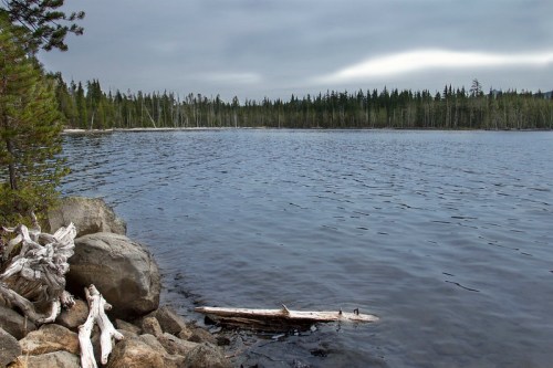 A tranquil lake surrounded by trees under a cloudy sky, with rocks and driftwood in the foreground.