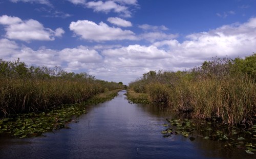 A serene waterway surrounded by lush greenery and clouds in a blue sky, reflecting nature's tranquility.