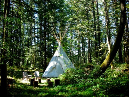 A teepee surrounded by tall trees, with wooden chairs arranged around a fire pit in a lush forest setting.