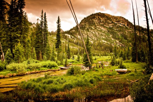 A serene landscape featuring a lush green valley, tall trees, and a mountain under a dramatic sky.