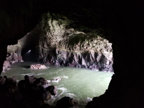 A view from inside a dark cave, revealing a rocky shoreline and greenish water outside.