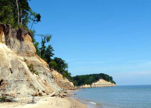 A sandy beach with steep, eroded cliffs and lush green trees under a clear blue sky.