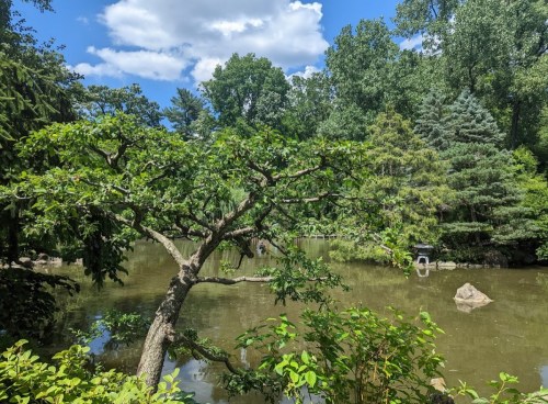 A serene pond surrounded by lush greenery and trees under a bright blue sky with fluffy clouds.