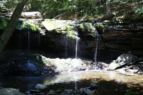A serene waterfall cascading over moss-covered rocks into a calm pool, surrounded by lush greenery.