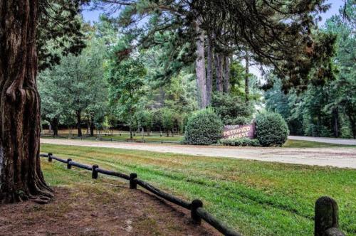 A scenic view of a forest with tall trees and a sign for the Petrified Forest in the background.