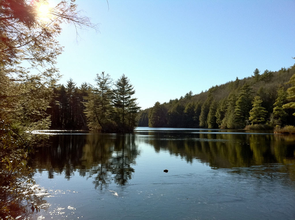 Bigelow Hollow State Park Map