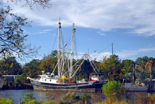 A fishing boat docked in a calm waterway, surrounded by trees and a clear blue sky.