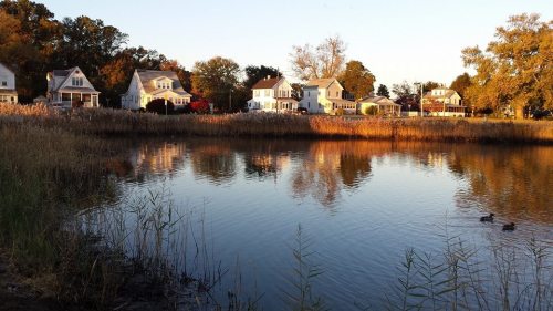 A serene waterfront scene with houses reflecting in calm water, surrounded by tall grasses and trees in autumn colors.