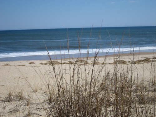 A sandy beach with tall grass in the foreground and calm blue ocean waves under a clear sky.