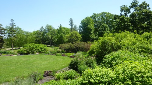 Lush green park with trees, shrubs, and colorful flowers under a clear blue sky.
