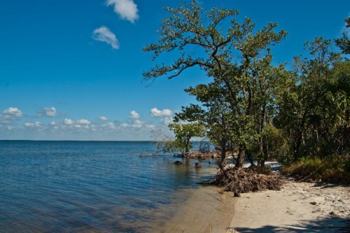 A serene beach scene with trees along the shore under a clear blue sky and fluffy white clouds.