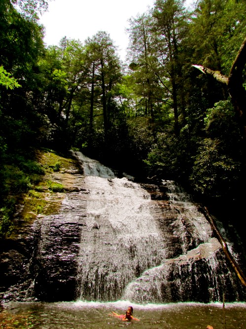 A person swims in a serene pool at the base of a cascading waterfall, surrounded by lush green trees.